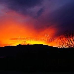 Meet your Posher, Joyce